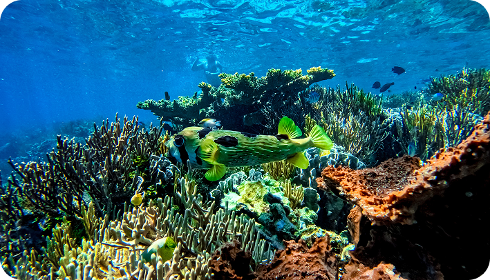 Sebayur Island