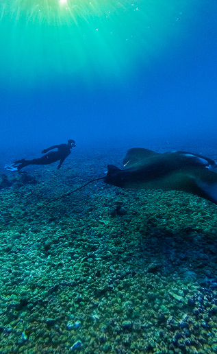 Diving
